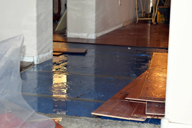 Professional Basement Flood Cleanup technician working in Shelton, WA
